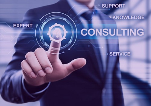 Service & Consulting